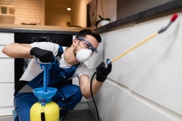 Best Termite Control Services  in Paulsboro, NJ