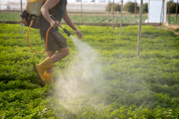 Best Pest Prevention Services  in Paulsboro, NJ