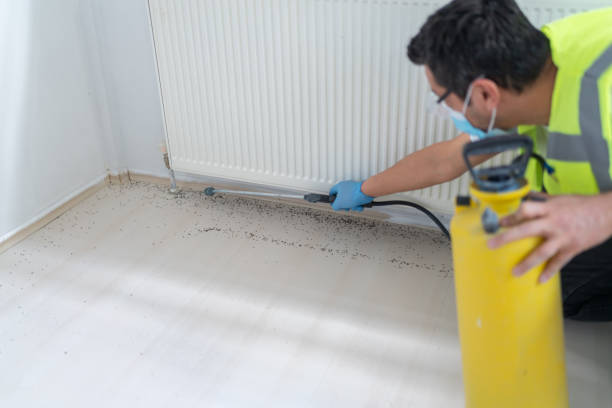 Best Wasp Removal Services  in Paulsboro, NJ